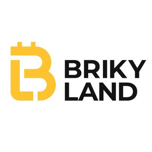 Briky Capital logo