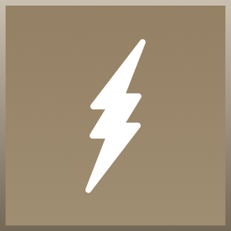 Fleek logo