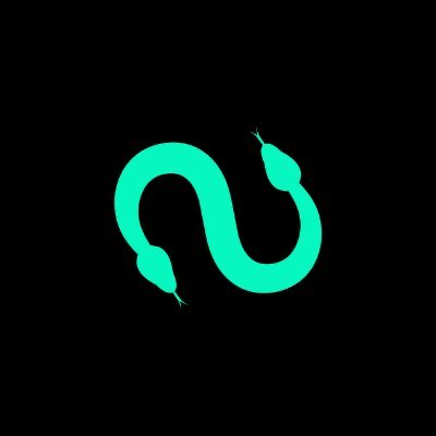 Sallar logo