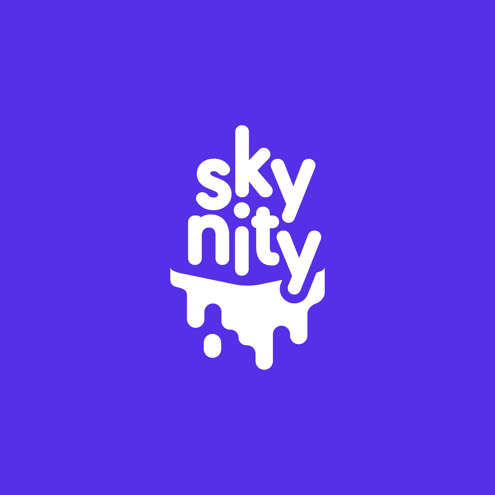 SkyNity logo