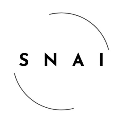 SwarmNode logo