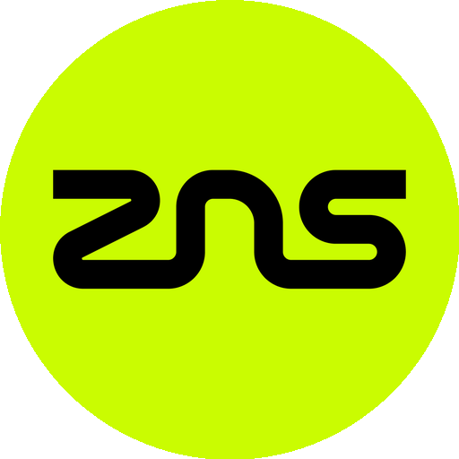 ZNS Connect logo