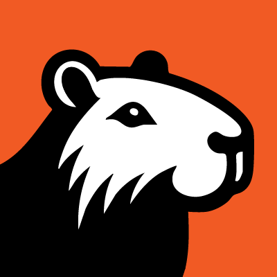 Capyfi logo