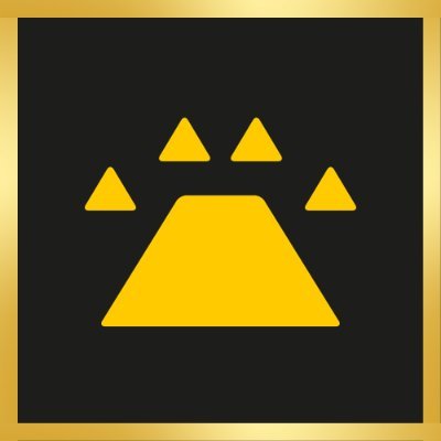 Ingonyama logo
