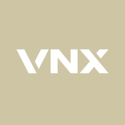 VNX logo