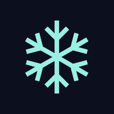 Winter Walrus logo